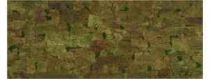 Krinoos Krinoos corkbark skintree skin green 14092913122023