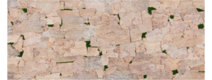 Krinoos Krinoos corkbark skintree skin ivory 14084313122023