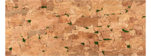 Krinoos Krinoos corkbark skintree skin natural 14082913122023