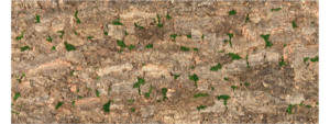 Krinoos Krinoos corkbark virgintree virgin natural 14182613122023
