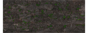 Krinoos Krinoos corkbark virgintree virgin sandstone black 14232613122023